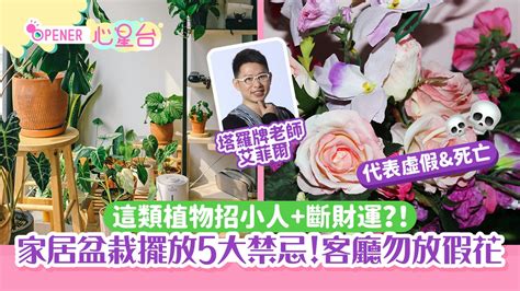 客廳放假花|客廳放假花好不好，有什麼風水禁忌